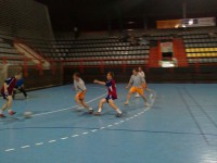 /album/drevaci-2010-2011/a28052011378-jpg/